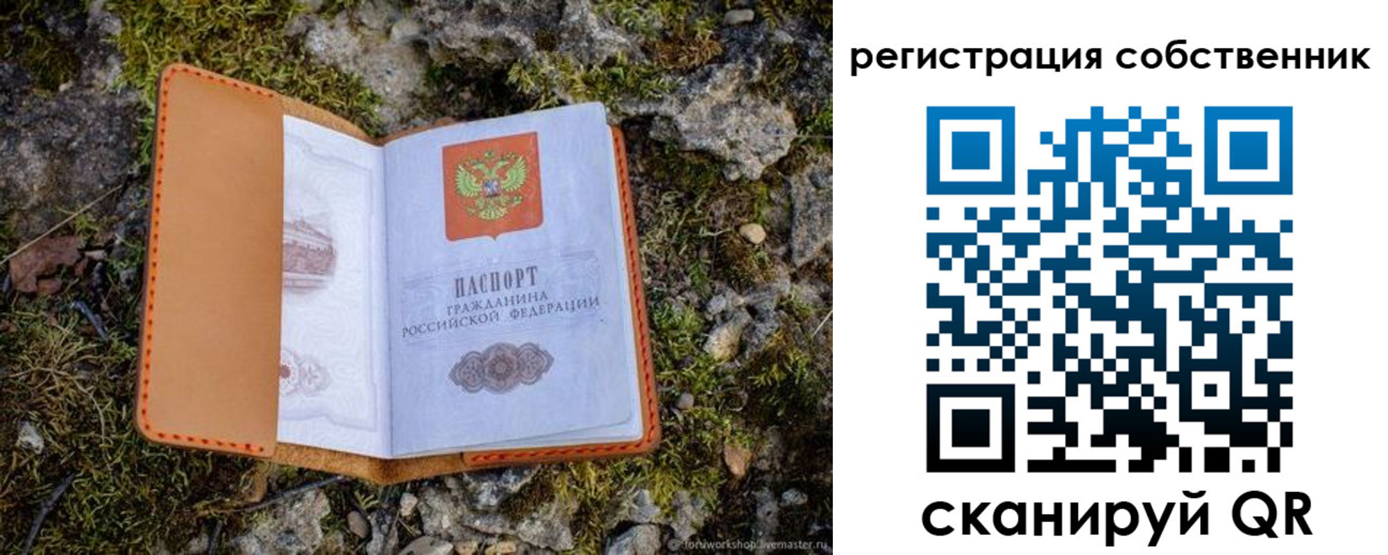 прописка поиск в Балабаново